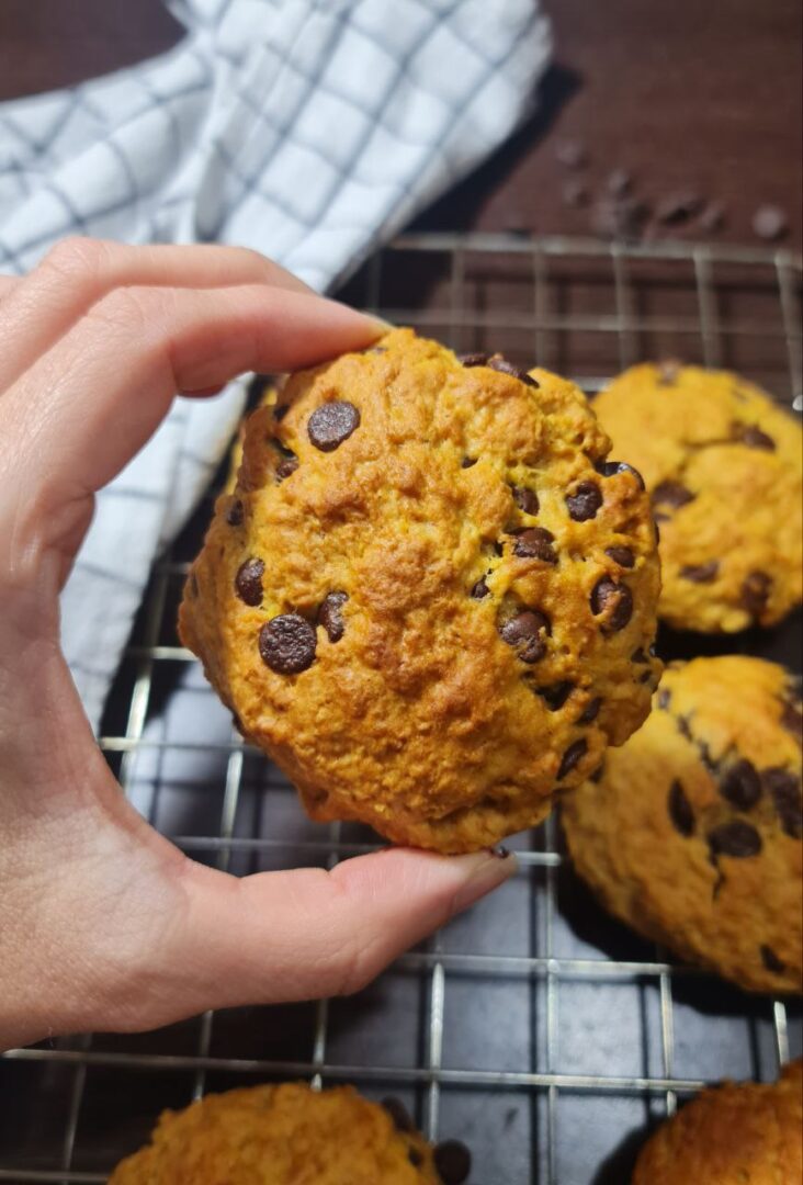 a hand holding a pumpkin chocolate chip cookie