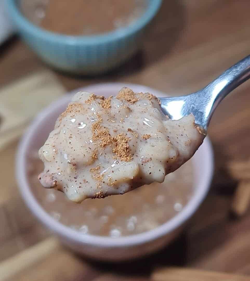 A close-up of a spoonful of creamy vegan rice pudding topped with a sprinkle of cinnamon, with a bowl of rice pudding in the background.