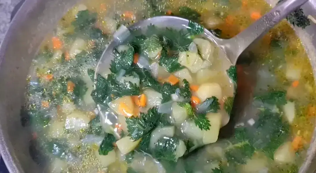 A ladle scooping up Hearty Nettle Soup from a pot. The soup contains diced potatoes, carrots, onions, and garnished with fresh parsley in a clear broth with visible oil droplets.